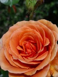 20201107_111554.jpg