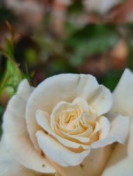 20201107_111630.jpg