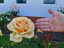 20201107_162108.jpg