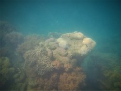 IMG_5156 (2).JPG