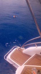 20201005_112418.jpg