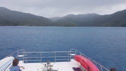 20201005_134610.jpg