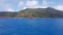 20201006_131428.jpg
