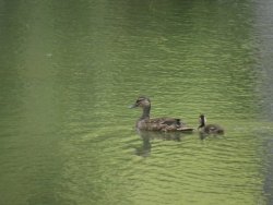 1606271084889.jpeg 1606271084889.jpeg