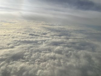 B4BB78C6-B21D-423F-90ED-043C0502F1D4.jpeg