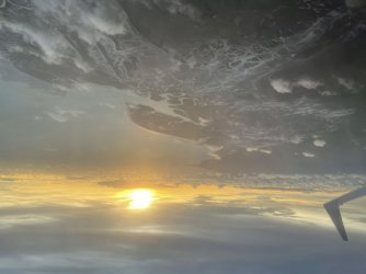 E92E15C9-D65C-4A97-90DA-3E28F1005A9A.jpeg