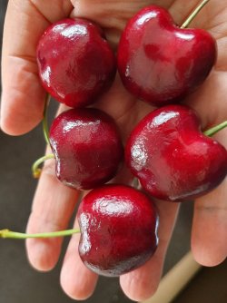 20201222_090425.jpg