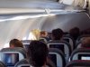 ImageUploadedByAustFreqFly1399432409.039240.jpg