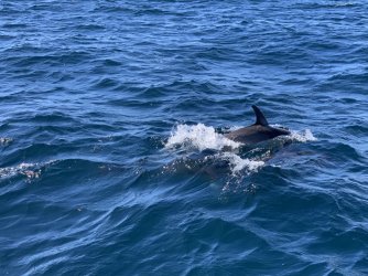 IMG_6145.JPG