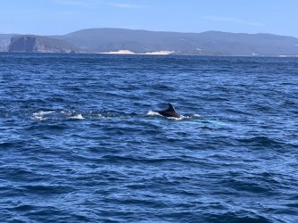 IMG_6183.JPG