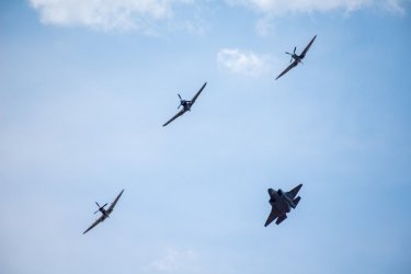 _D804839.jpg