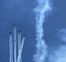 Roulettes 4.jpg