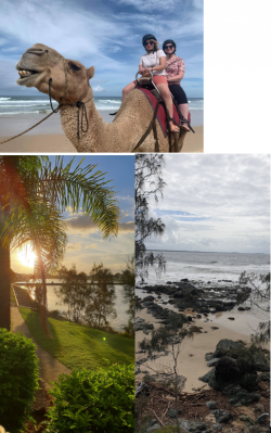 pics2.PNG