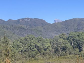 IMG_7285.JPG