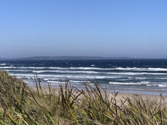 IMG_7334.JPG