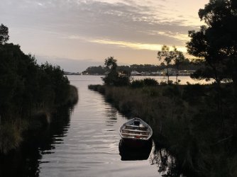 IMG_7413.JPG