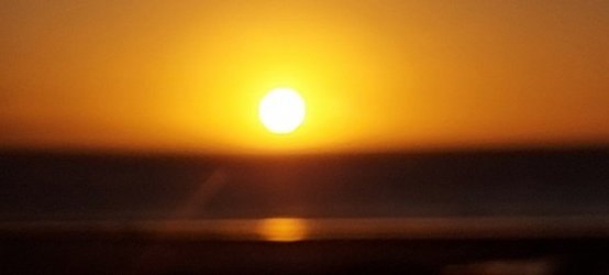 20210413_175956.jpg
