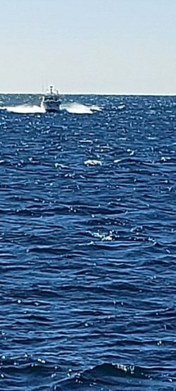 20210414_145935.jpg 20210414_145935.jpg