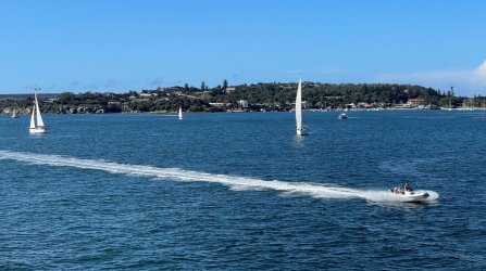 IMG_1463.JPG