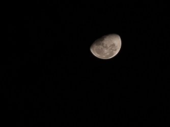 20210501_214455.jpg