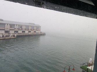 20210503_073020.jpg
