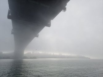 20210503_082736.jpg