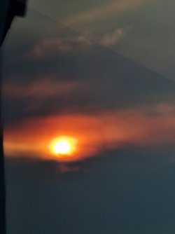 20210503_164432.jpg