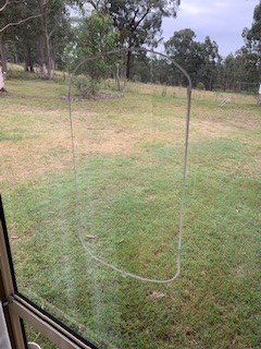 window.jpg