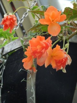 DSC05297.JPG