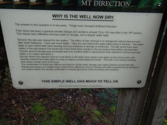 DSC05337-001.JPG