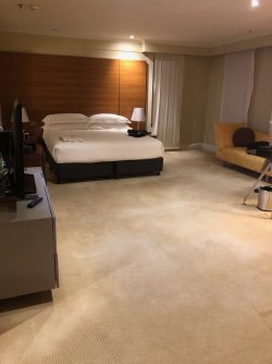IMG_1932.jpeg