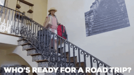 giphy (3).gif