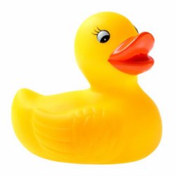 plb-duck.jpg