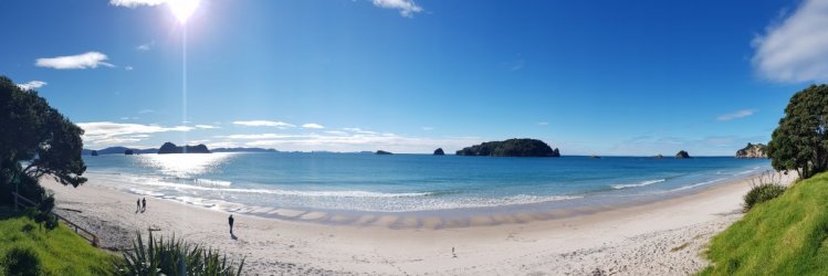 Hahei Beach.jpg