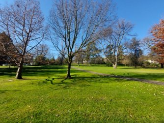 20210710_105627.JPG