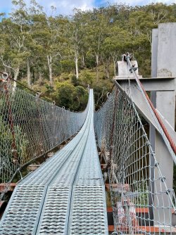 Suspension bridge 1.jpg