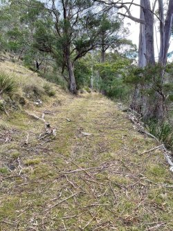 Convict road west end.jpg
