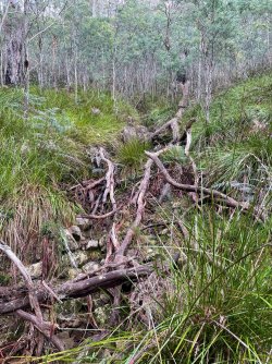 Creek outcrops 1.jpg