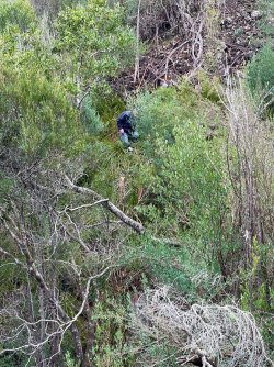 Steep ravine.jpg