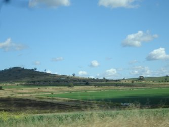 DSC06345.JPG