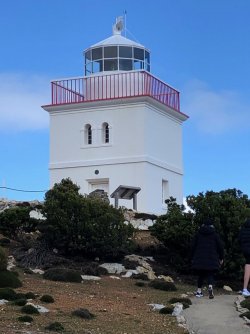 C2B09886-0CAE-4AB3-AEFF-36833B3D6116.jpeg