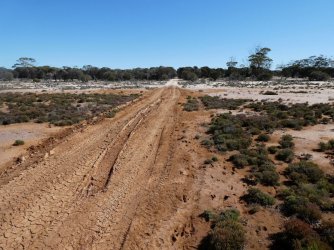 Burra50.jpg