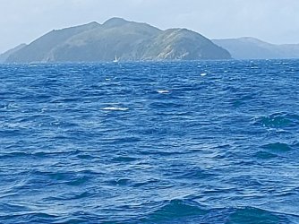 20210816_083854.jpg
