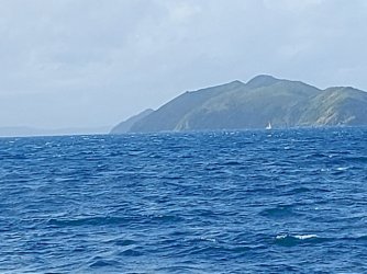 20210816_083856.jpg