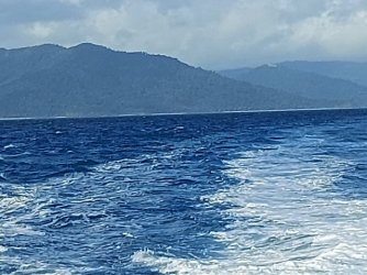 20210816_083905.jpg