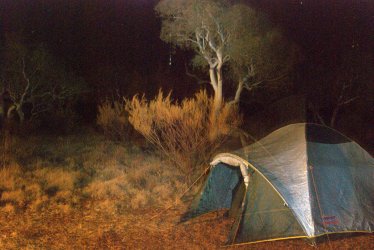 DSC_0173.jpg