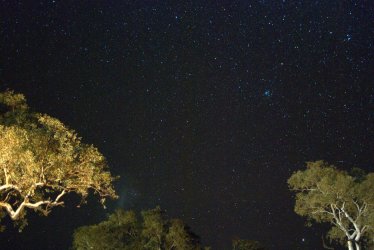 DSC_0176.jpg