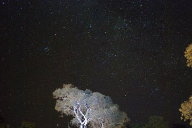 DSC_0178.jpg