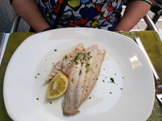 06-57sea-bream.jpg