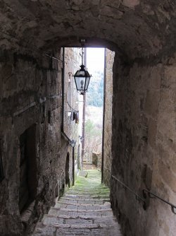 IMG_2442.JPG